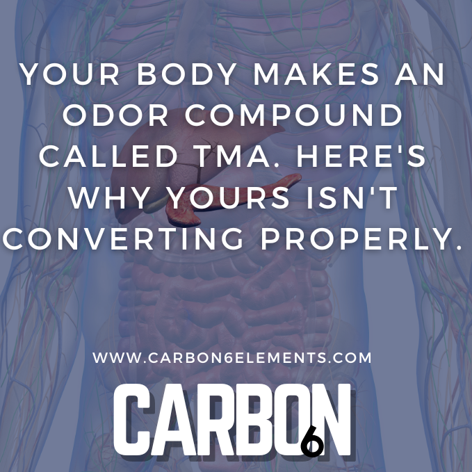 Anatomical illustration of a human body with text about TMA and Carbon6 website.