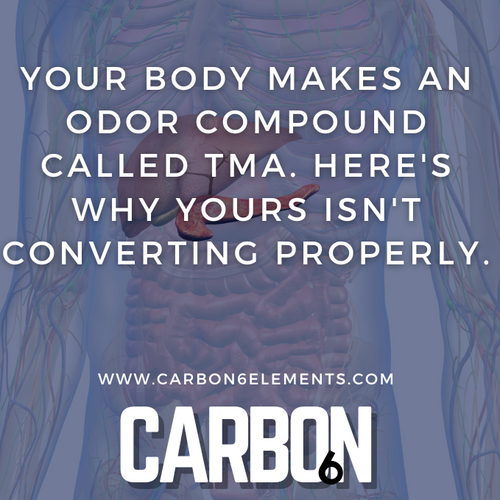 Anatomical illustration of a human body with text about TMA and Carbon6 website.
